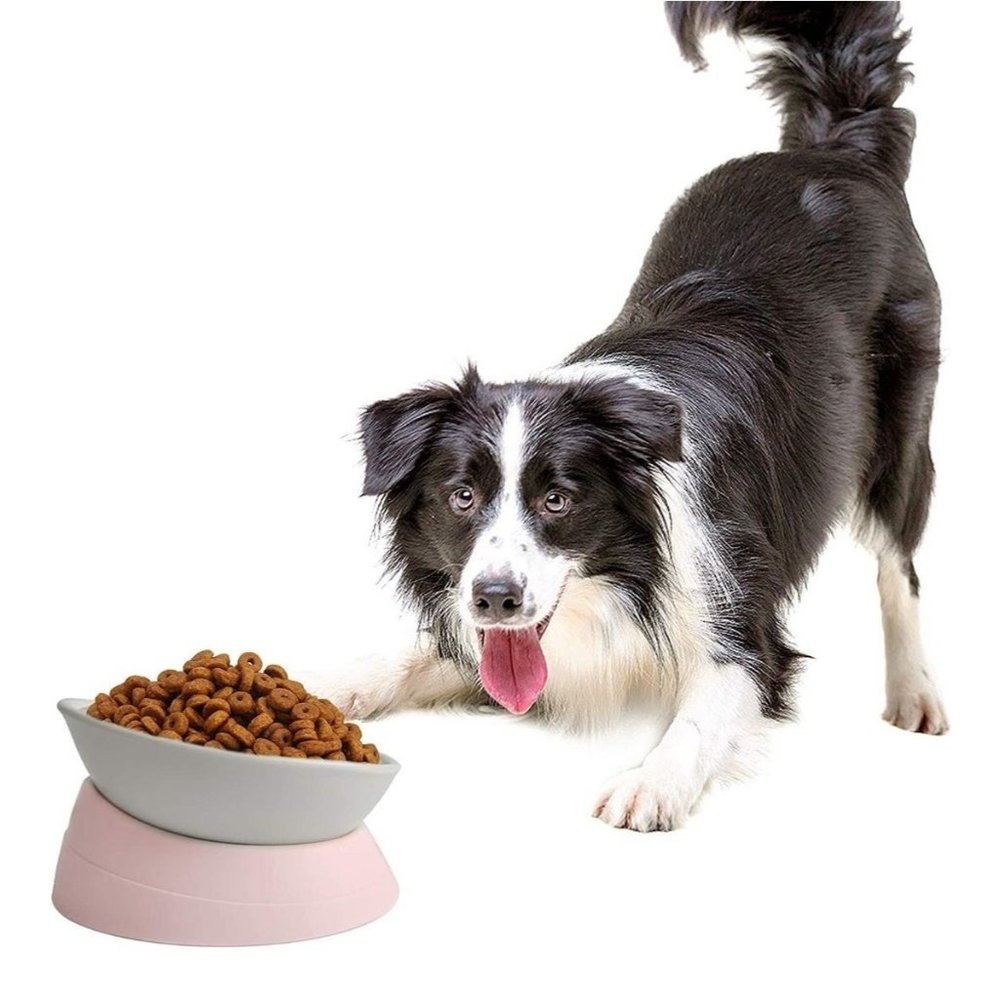 Dish Set For Dog Or Cat